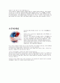 한국의 소주 3페이지