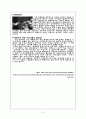 외국인에게 주목받는 한국문화 5페이지