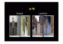 2002 ~2006년 트랜드 분석 37페이지