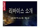 리바이스 시장조사. 마케팅방안 3페이지