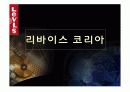 리바이스 시장조사. 마케팅방안 6페이지