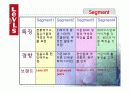 리바이스 시장조사. 마케팅방안 24페이지
