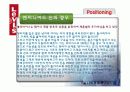 리바이스 시장조사. 마케팅방안 36페이지