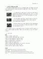 로베르토 로셀리니의 무방비도시 10페이지