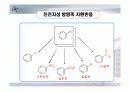 니트로벤젠 합성 8페이지