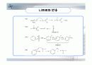 니트로벤젠 합성 10페이지