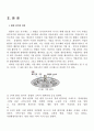 2007년 2학기 경영전략론 중간시험과제물 B형(환경분석) 2페이지