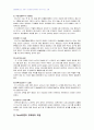 2008년 2학기 놀이지도 중간시험과제물 A형(놀이의 정신분석이론/인지이론) 2페이지