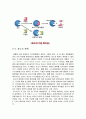 2009년 2학기 식품미생물학 중간시험과제물 B형(효소) 4페이지