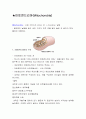 미토콘드리아  1페이지