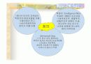 지능,창의성의 정의 및 이론 등등 3페이지