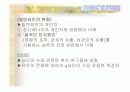 지능,창의성의 정의 및 이론 등등 6페이지