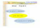 지능,창의성의 정의 및 이론 등등 18페이지