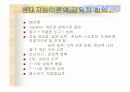 지능,창의성의 정의 및 이론 등등 28페이지