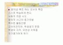 지능,창의성의 정의 및 이론 등등 31페이지