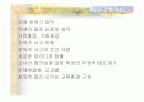 지능,창의성의 정의 및 이론 등등 32페이지