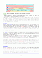 충주에 대해서(A+자료) 4페이지