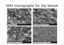 고분자 설계 Polymer Blend- Compatibilizer for PC/ABS Blend 28페이지