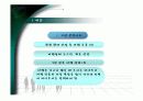 하나투어의 마케팅 전략 4페이지