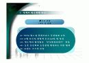 하나투어의 마케팅 전략 42페이지