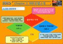 IBIS 호텔 마케팅전략 10페이지