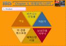 IBIS 호텔 마케팅전략 16페이지