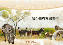 여행상품개발-남아프리카공화국 2페이지