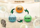 여행상품개발-남아프리카공화국 4페이지