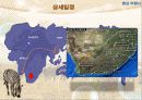 여행상품개발-남아프리카공화국 11페이지