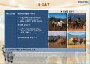 여행상품개발-남아프리카공화국 16페이지