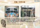 여행상품개발-남아프리카공화국 19페이지