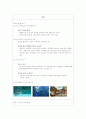 [사회과학] 일본본토일주 4박5일 비교분석 및 기획 8페이지