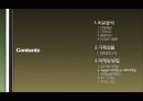일본본토일주 4박5일 비교분석 및 기획 3페이지