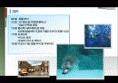 일본본토일주 4박5일 비교분석 및 기획 12페이지