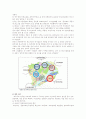 [세종시] 세종시(행정중심복합도시)건설의 수정안 찬성(한국사회문제E형) 4페이지