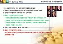 화폐전쟁 독서토론 및 금(골드리슈) 투자 적용 6페이지