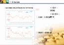 화폐전쟁 독서토론 및 금(골드리슈) 투자 적용 55페이지