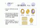 탄소나노튜브(CNT)논문리뷰 & 설계 3페이지