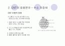 탄소나노튜브(CNT)논문리뷰 & 설계 10페이지