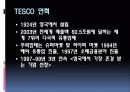 기업조사 - TESCO 6페이지