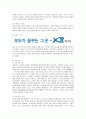 자이(Xi)의 마케팅과 개선방안 3페이지