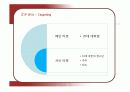 유니클로의 마케팅과 성공요인 13페이지
