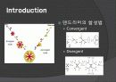 덴드리머(DENDRIMER)- Solid Phase - 조사&설계 4페이지