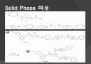 덴드리머(DENDRIMER)- Solid Phase - 조사&설계 15페이지