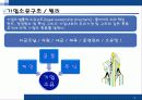 중소기업의 특성및 어려움, 혁신형 중소기업과 기업인터뷰 4페이지