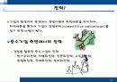 중소기업의 특성및 어려움, 혁신형 중소기업과 기업인터뷰 38페이지