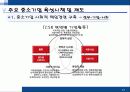 중소기업의 특성및 어려움, 혁신형 중소기업과 기업인터뷰 85페이지