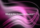 [유기물,고분자] Crosslink (가교) System에 대한 조사및 설계 2페이지
