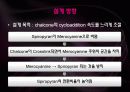 [유기물,고분자] Crosslink (가교) System에 대한 조사및 설계 23페이지