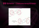 [유기물,고분자] Crosslink (가교) System에 대한 조사및 설계 45페이지